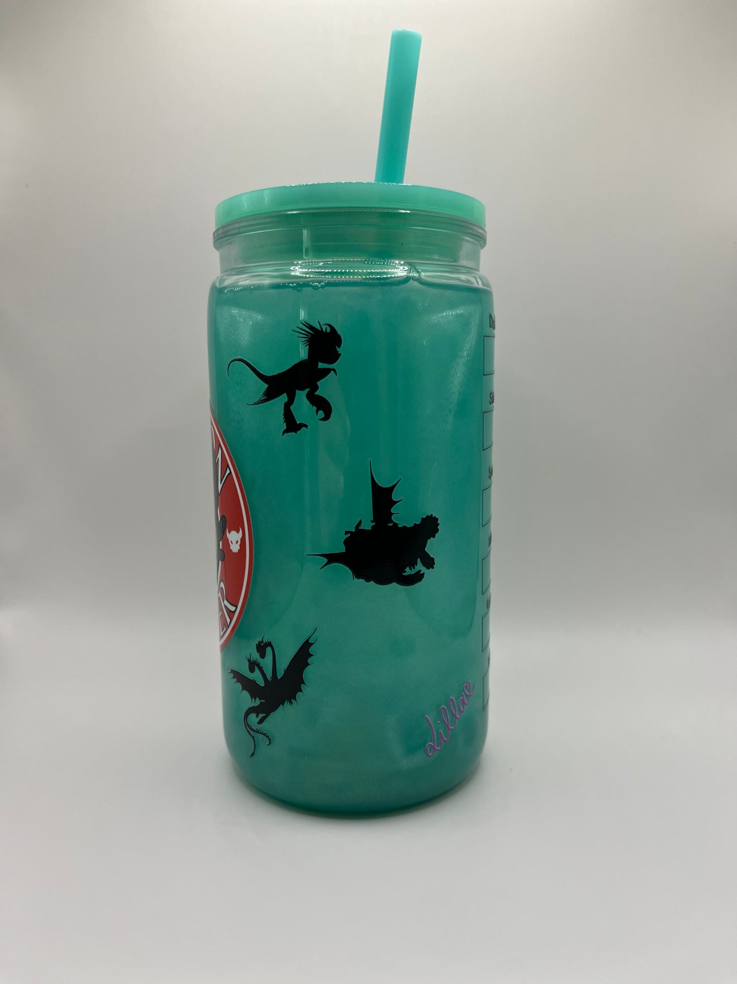 Tumbler “Dragon Trainer”
