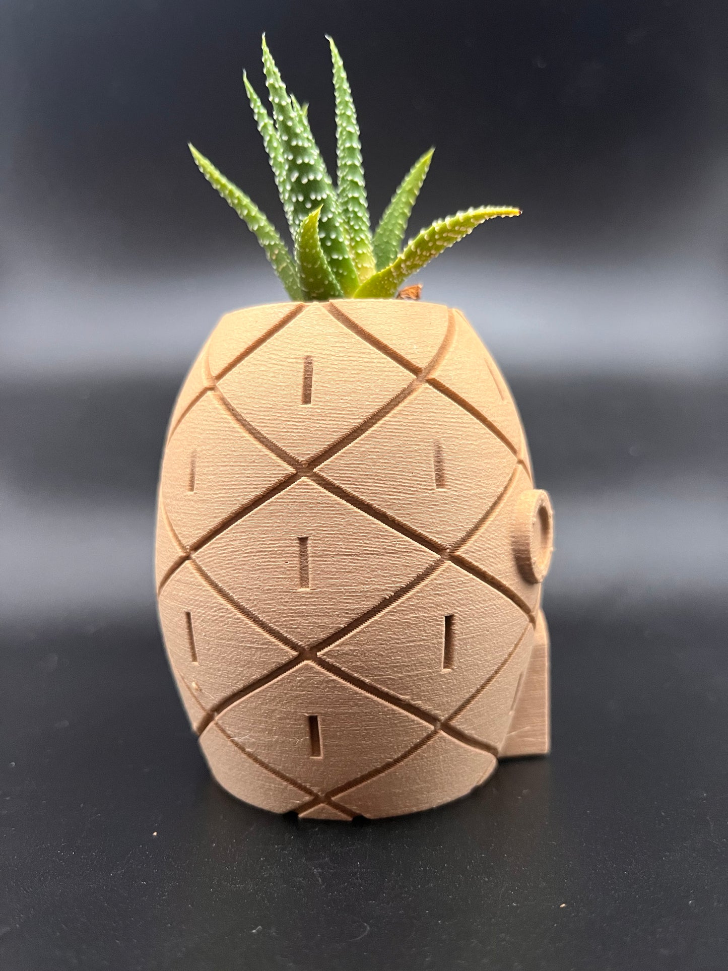 Vaso SpongeBob in legno