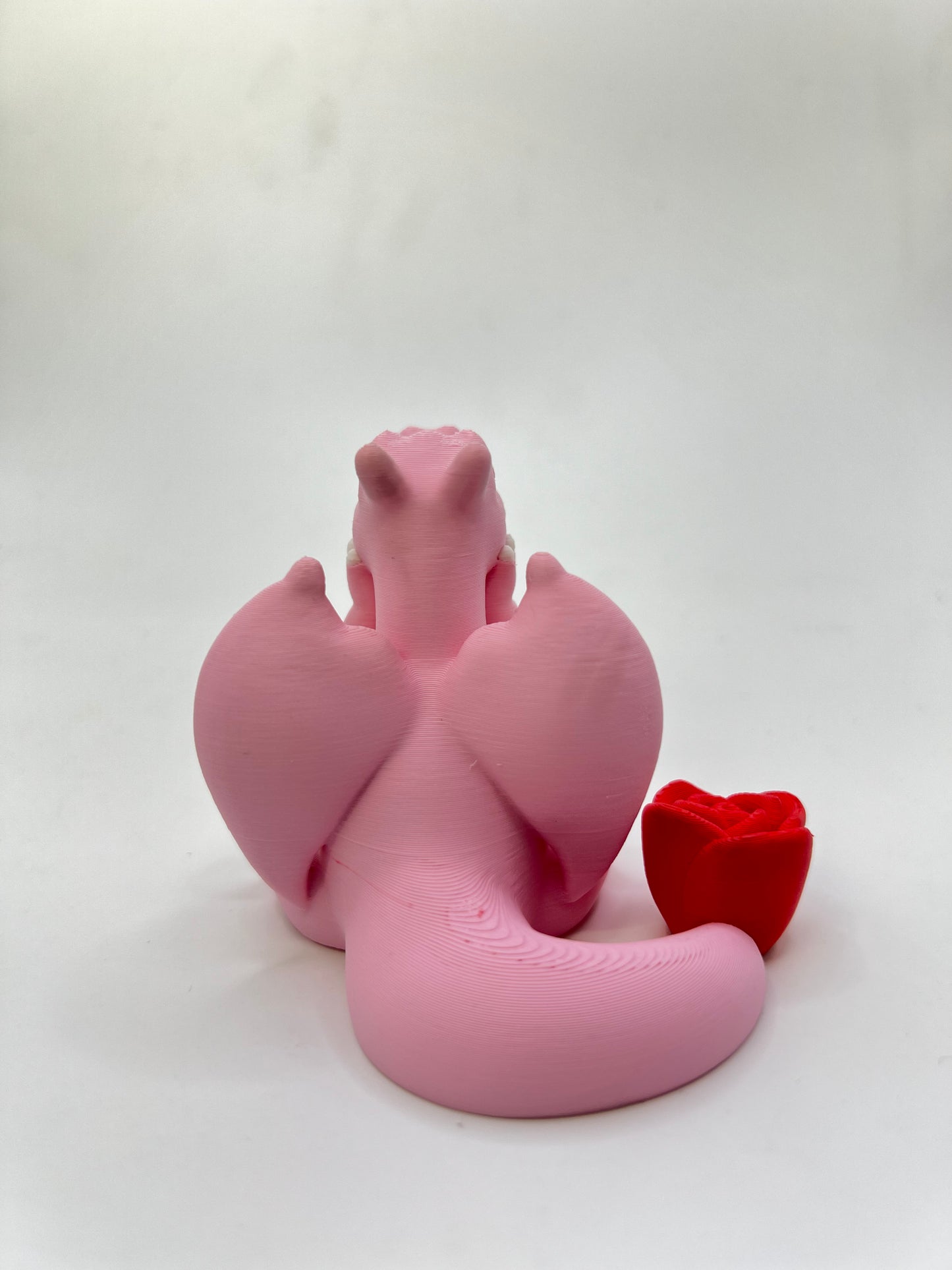 Charizard Rosa mega coccoloso 🌹💖