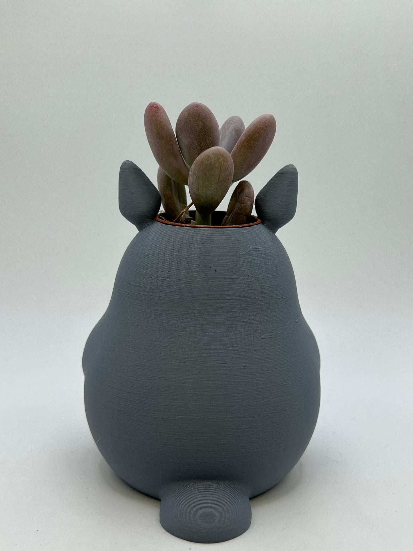 Vaso Tororo 🪴