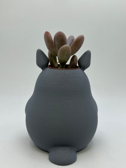 Vaso Tororo 🪴