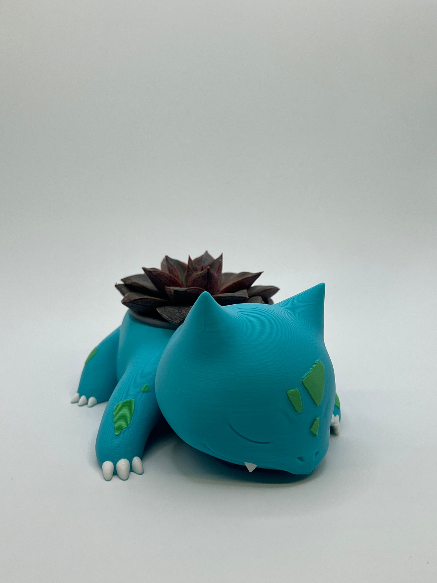 Vaso Bulbasaur - “Sogni Verdi”