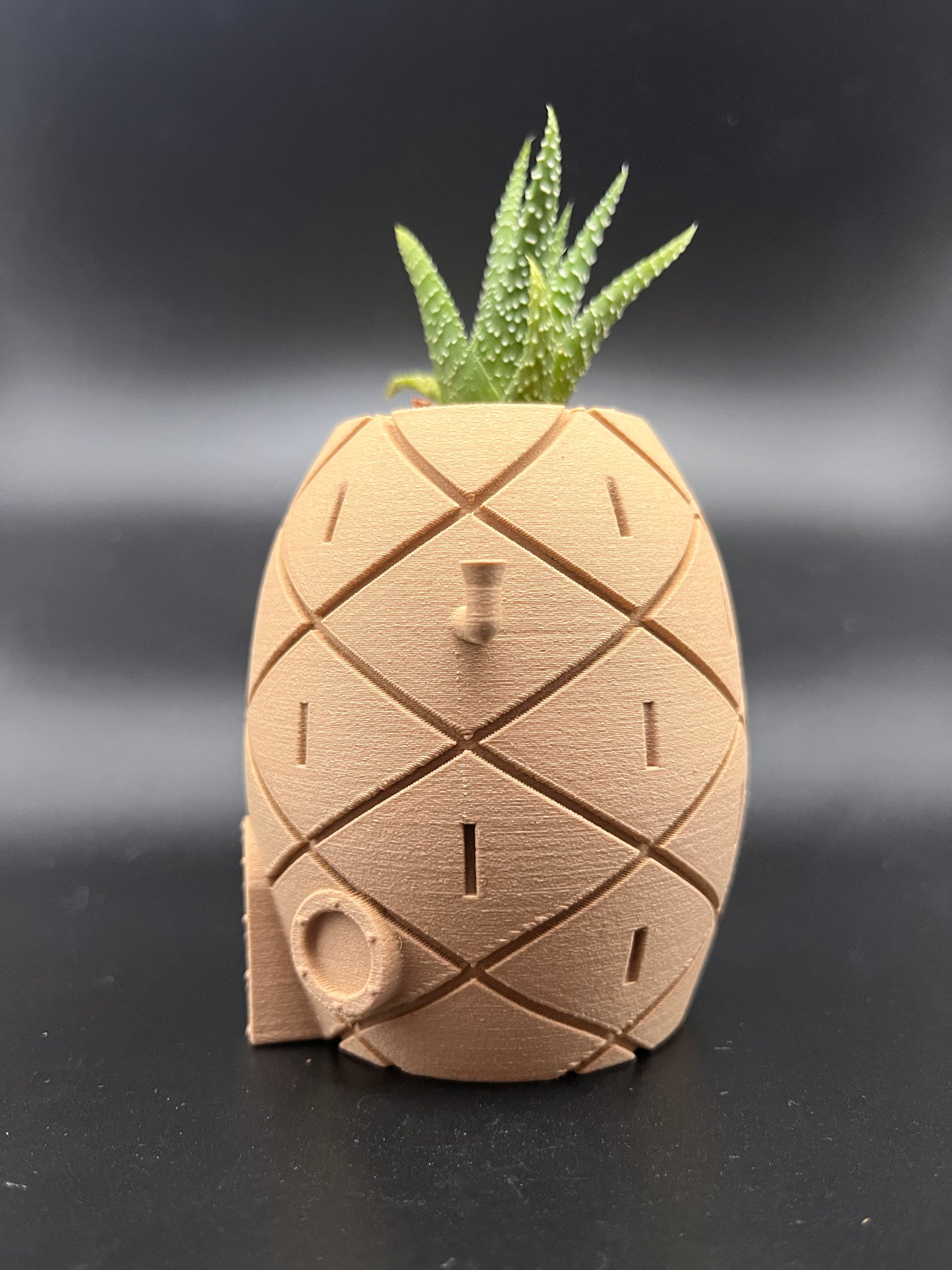 Vaso SpongeBob  in legno