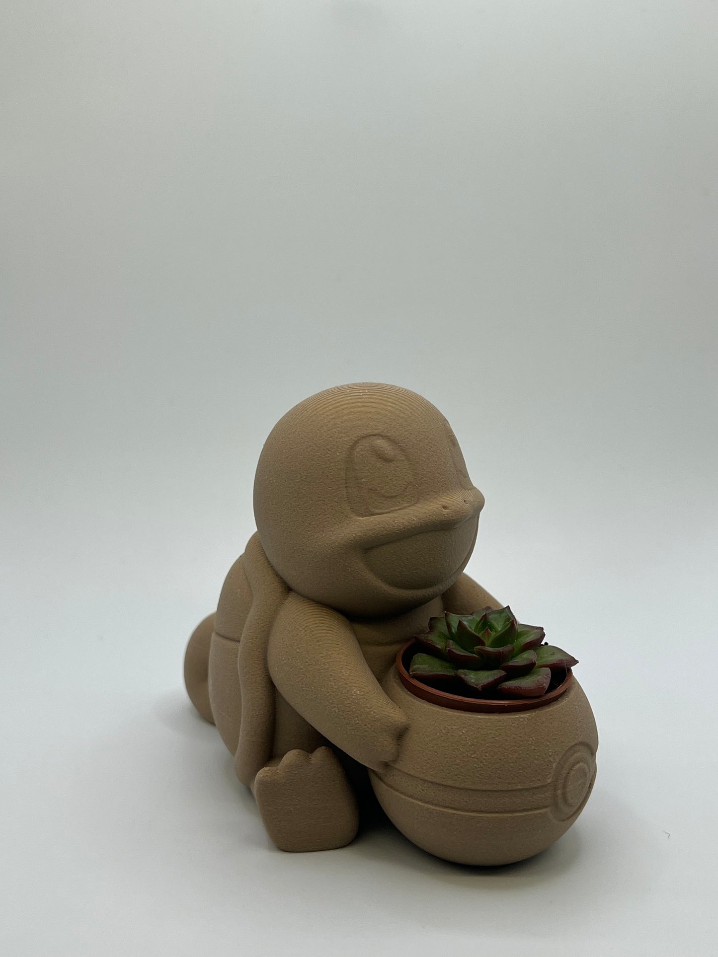 Vaso Squirtle in legno🪴